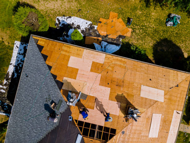 Best Metal Roofing Contractor  in North Aurora, IL
