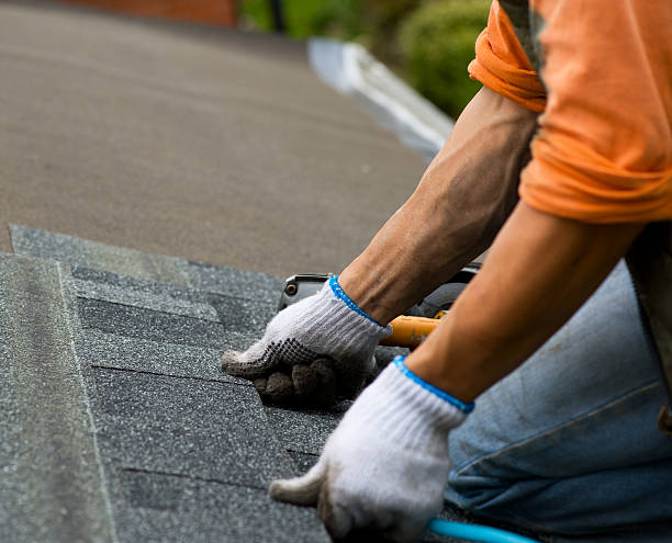 Roof Gutter Cleaning in North Aurora, IL